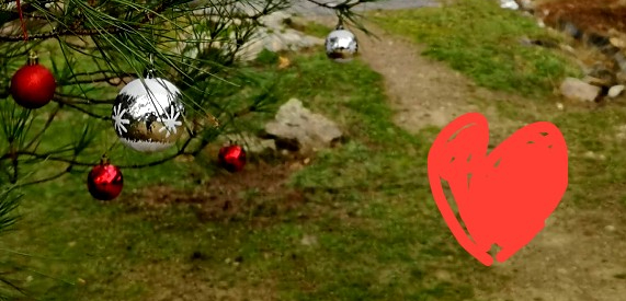 Fin de año